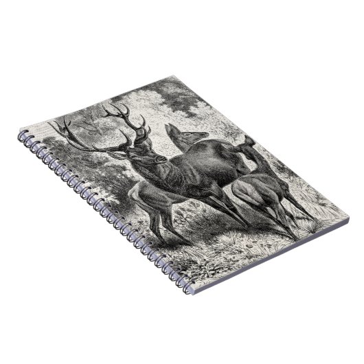 ヴィンテージの19世紀のアカシカのイラストレーションの雄鹿の雌ジカの子鹿 ノートブック (右側)