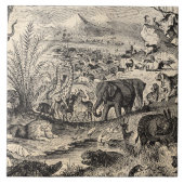 ヴィンテージの19世紀のアフリカ動物のイラストレーション動物 タイル (正面)