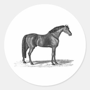 ヴィンテージの19世紀のアラビアの馬のイラストレーション-馬 ラウンドシール
