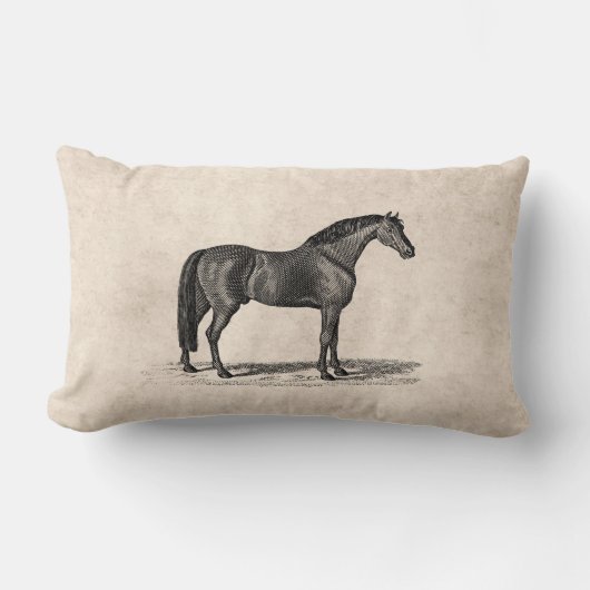 ヴィンテージの19世紀のアラビアの馬のイラストレーション-馬 ランバークッション (正面)