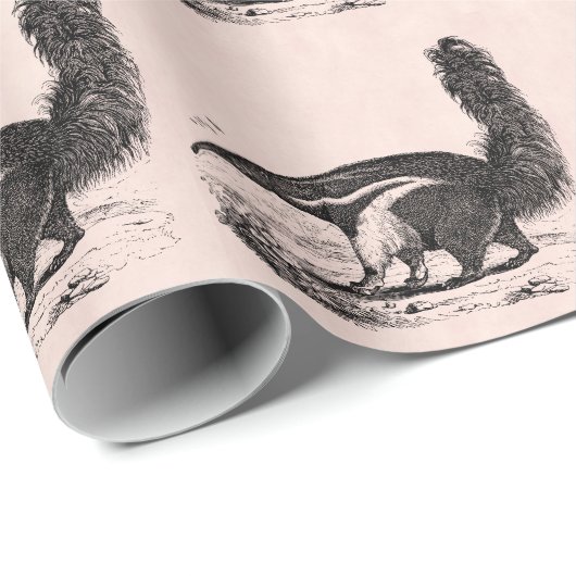 ヴィンテージの19世紀のアリクイのピンクのレトロの蟻の食べる人 ラッピングペーパー (ロールコーナー)