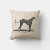 ヴィンテージの19世紀のグレイハウンド犬のイラストレーション-犬 クッション (正面)