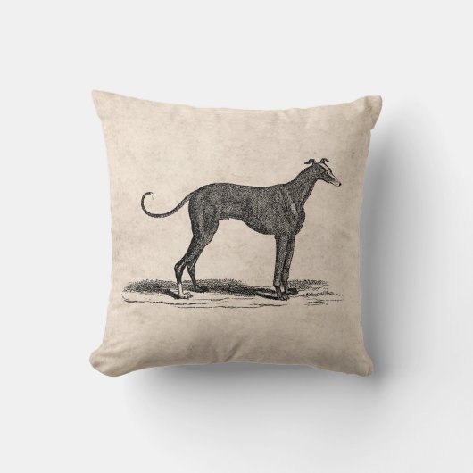 ヴィンテージの19世紀のグレイハウンド犬のイラストレーション-犬 クッション (正面)