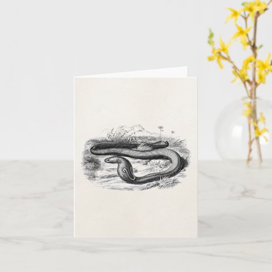 ヴィンテージの19世紀のコブラのヘビのレトロにコブラの引くこと カード (黄色い花)