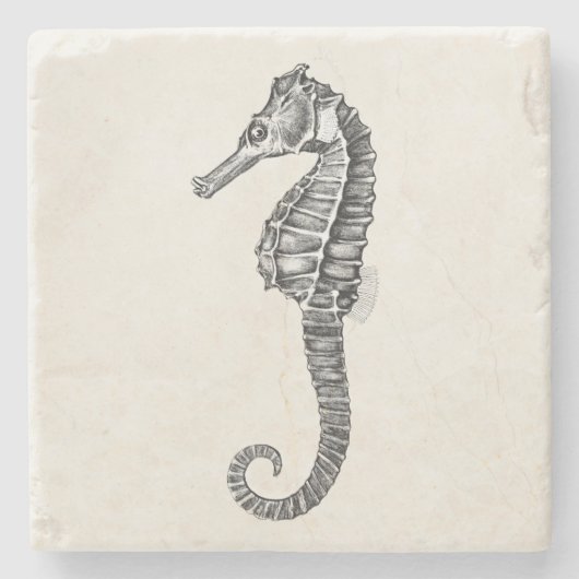 ヴィンテージの19世紀のタツノオトシゴの海のタツノオトシゴのテンプレート ストーンコースター (正面)