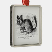 ヴィンテージの19世紀のチンチラのチンチラのイラストレーション メタルオーナメント (右)