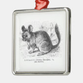 ヴィンテージの19世紀のチンチラのチンチラのイラストレーション メタルオーナメント (左)