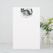 ヴィンテージの19世紀のチンチラのチンチラのイラストレーション 便箋 (スタンド正面)