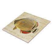 ヴィンテージの19世紀のハワイの蝶魚のイラストレーション タイル (側面)