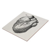 ヴィンテージの19世紀のハートのレトロの心臓解剖学のハート タイル (側面)