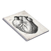 ヴィンテージの19世紀のハートのレトロの心臓解剖学のハート ノートブック (右側)