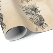 ヴィンテージの19世紀のパイナップルイラストレーションのパイナップル ラッピングペーパー (ロールコーナー)