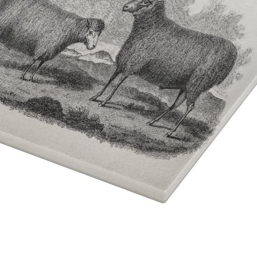 ヴィンテージの19世紀のヒツジの雌ヒツジのイラストレーションのレトロの農場 カッティングボード (角)