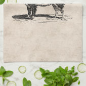 ヴィンテージの19世紀のボーダーコリー犬のイラストレーション キッチンタオル (折り畳み)