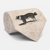 ヴィンテージの19世紀のボーダーコリー犬のイラストレーション ネクタイ (ロール)