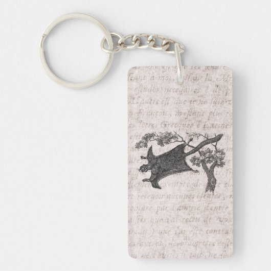 ヴィンテージの19世紀のムササビ-砂糖のグライダー キーホルダー (正面)