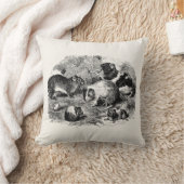 ヴィンテージの19世紀のモルモットのレトロの古いモルモット クッション (ブランケット)