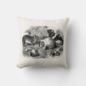 ヴィンテージの19世紀のモルモットのレトロの古いモルモット クッション (正面)