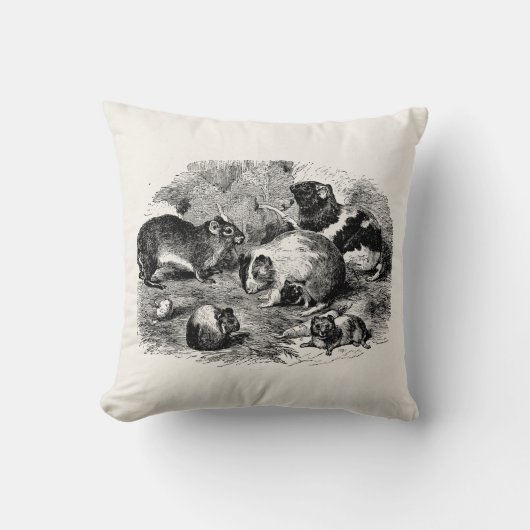 ヴィンテージの19世紀のモルモットのレトロの古いモルモット クッション (正面)