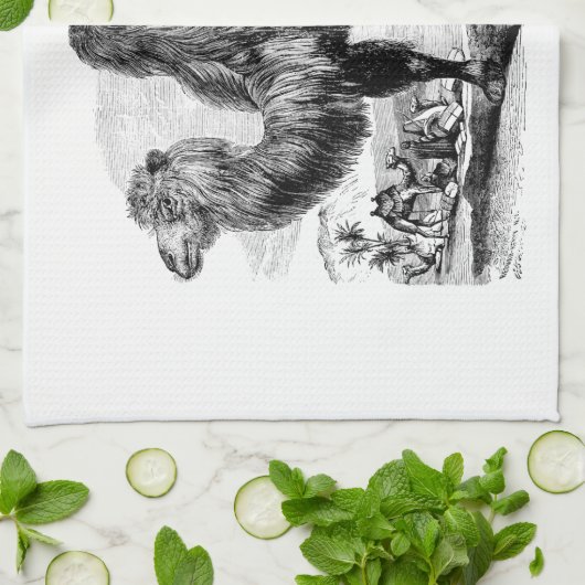 ヴィンテージの19世紀のラクダ-エジプトのラクダのテンプレート キッチンタオル (折り畳み)