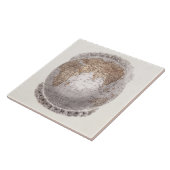 ヴィンテージの19世紀の世界地図の東半球の地球 タイル (側面)