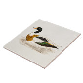 ヴィンテージの19世紀の古いドレークのアヒルのイラストレーション-アヒル タイル (側面)