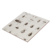 ヴィンテージの19世紀の昆虫の虫のカブトムシのイラストレーション タイル (側面)