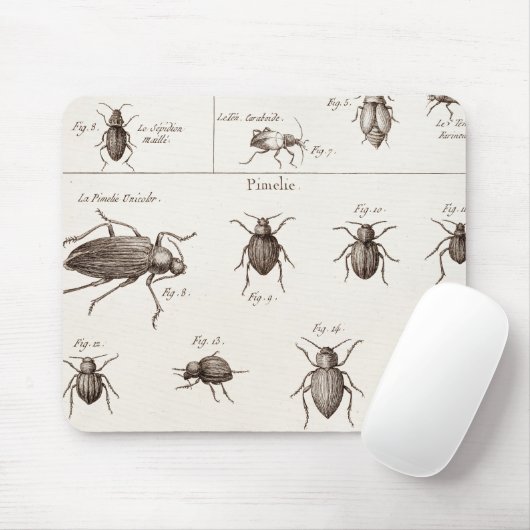 ヴィンテージの19世紀の昆虫の虫のカブトムシのイラストレーション マウスパッド (マウス)