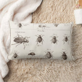 ヴィンテージの19世紀の昆虫の虫のカブトムシのイラストレーション ランバークッション (ブランケット)