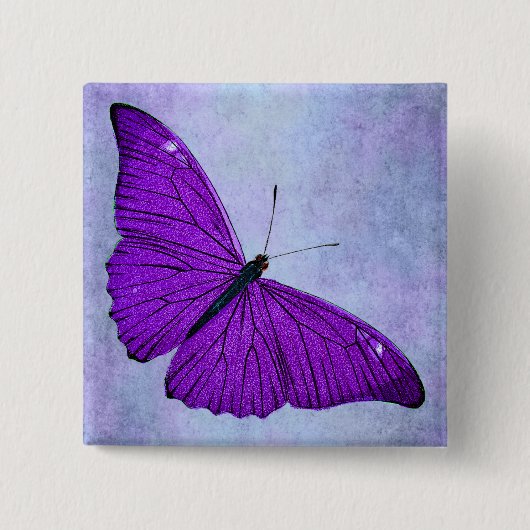 ヴィンテージの19世紀の暗い紫色の蝶イラストレーション 缶バッジ (正面)