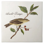 ヴィンテージの19世紀の深紅フウキンチョウ族の鳥の鳴き鳥の鳥 タイル (正面)