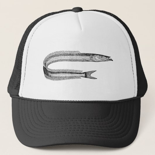 ヴィンテージの19世紀の砂ウナギの旧式な魚のテンプレートのブランク キャップ (正面)