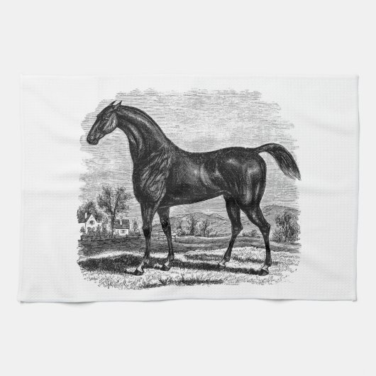 ヴィンテージの19世紀の競走馬のレトロの純血種の馬 キッチンタオル (横)
