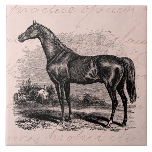 ヴィンテージの19世紀の競走馬のレトロの純血種の馬 タイル (正面)
