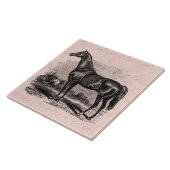 ヴィンテージの19世紀の競走馬のレトロの純血種の馬 タイル (側面)