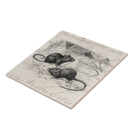 ヴィンテージの19世紀の納屋のマウスのレトロのネズミの羊皮紙 タイル (側面)