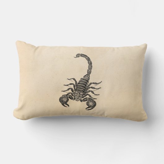 ヴィンテージの19世紀の蠍のイラストレーション-蠍 ランバークッション (正面)