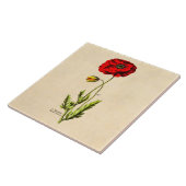 ヴィンテージの19世紀の赤いケシの野生花の花柄のケシ タイル (側面)