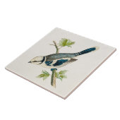 ヴィンテージの19世紀の青い鳥の鳴き鳥の鳥の引くこと タイル (側面)