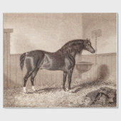 ヴィンテージの19世紀の馬のノーフォークの穂軸のHackneyのレトロ ラッピングペーパー (フラット)