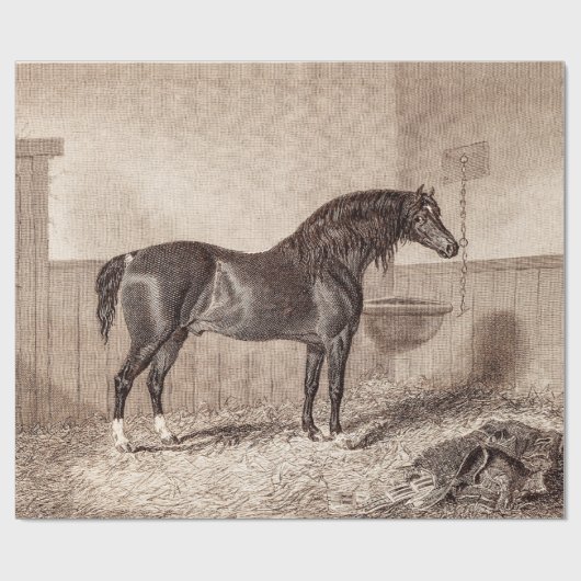 ヴィンテージの19世紀の馬のノーフォークの穂軸のHackneyのレトロ ラッピングペーパー (フラット)