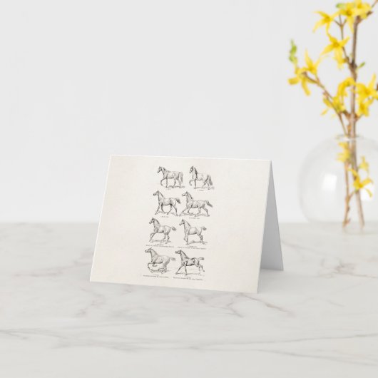 ヴィンテージの19世紀の馬の足取りのイラストレーションの馬 カード (黄色い花)