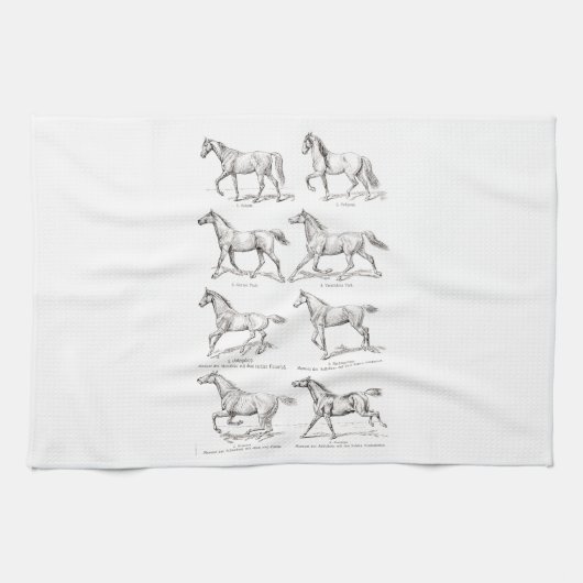 ヴィンテージの19世紀の馬の足取りのイラストレーションの馬 キッチンタオル (横)