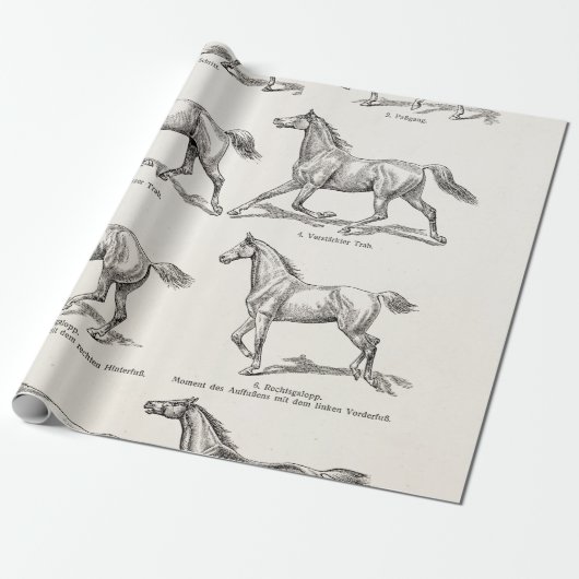 ヴィンテージの19世紀の馬の足取りのイラストレーションの馬 ラッピングペーパー (アンロールド)