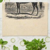 ヴィンテージの19世紀の馬-モーガンの騎手のテンプレート キッチンタオル (折り畳み)