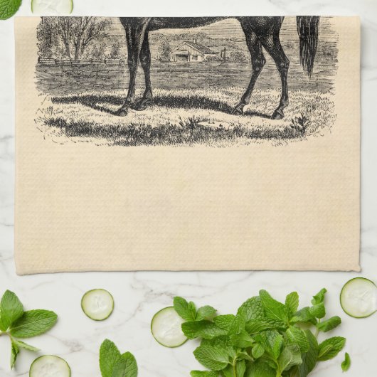ヴィンテージの19世紀の馬-モーガンの騎手のテンプレート キッチンタオル (折り畳み)