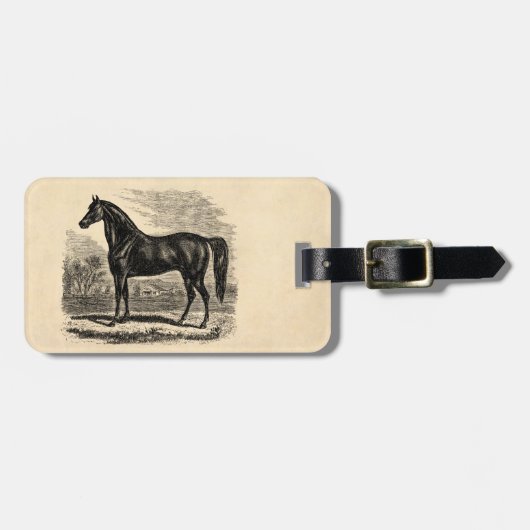 ヴィンテージの19世紀の馬-モーガンの騎手のテンプレート ラゲッジタグ (正面横)