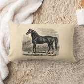 ヴィンテージの19世紀の馬-モーガンの騎手のテンプレート ランバークッション (ブランケット)
