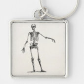 ヴィンテージの19世紀の骨組レトロの解剖学の骨組 キーホルダー (正面)