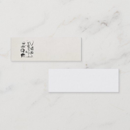 ヴィンテージの19世紀の骨組旧式な解剖学の骨組 スキニー名刺 (正面/裏面)